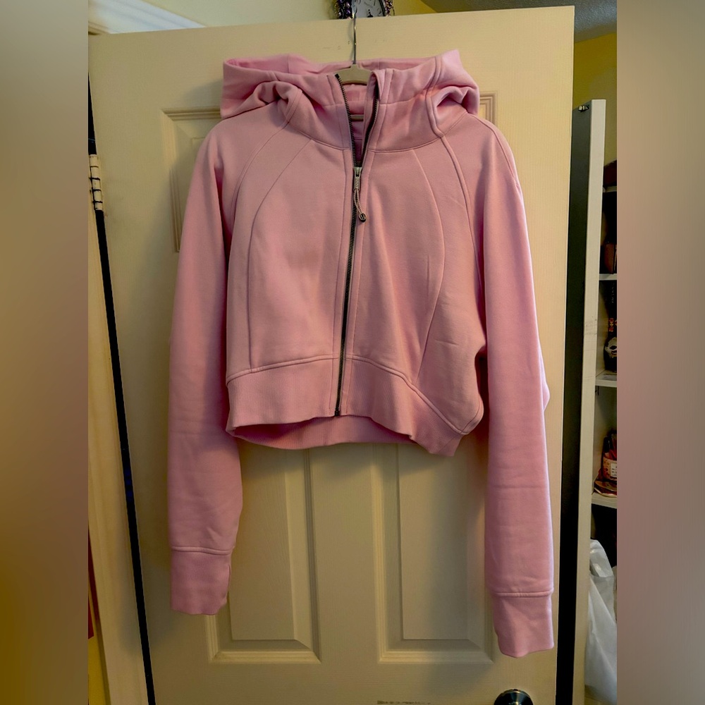Scuba Full-Zip Cropped Hoodie
